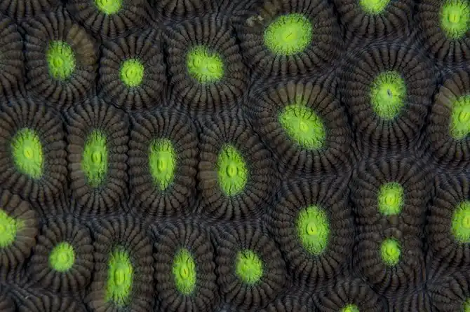 Удивительный фотоконкурс National Geographic 2015 начался