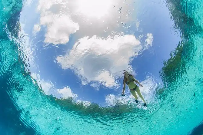 Удивительный фотоконкурс National Geographic 2015 начался