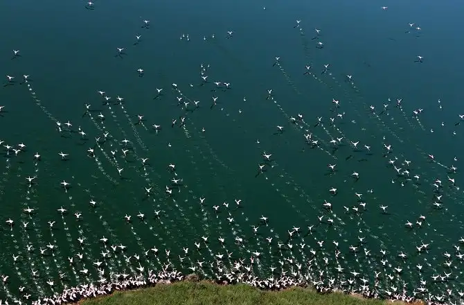 Удивительный фотоконкурс National Geographic 2015 начался