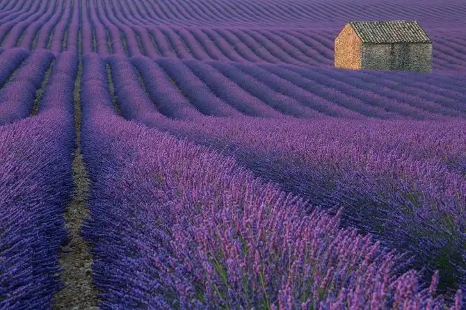 Удивительный фотоконкурс National Geographic 2015 начался