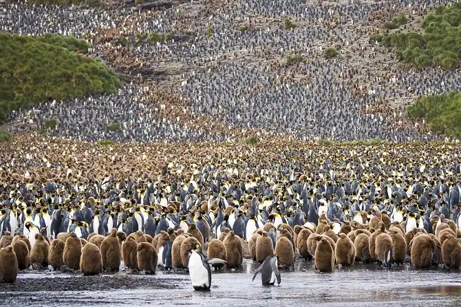 Удивительный фотоконкурс National Geographic 2015 начался