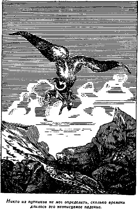 Кондоры - гигантские стервятники