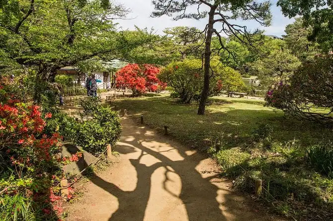 Как самостоятельно съездить в Японию