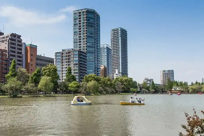 Как самостоятельно съездить в Японию