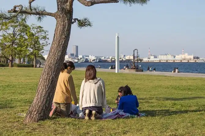 Как самостоятельно съездить в Японию