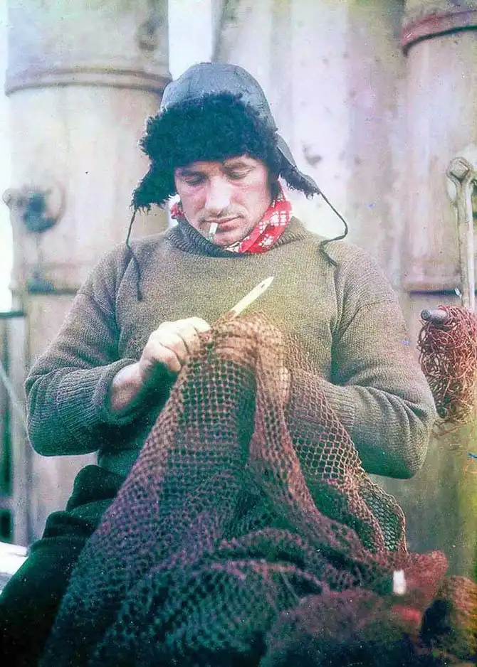 Пленники льдов Антарктики