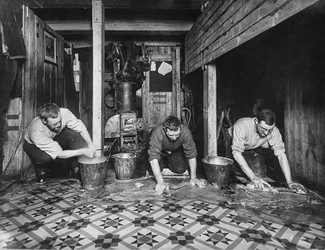 Пленники льдов Антарктики