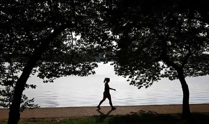 Поразительные результаты научных исследований