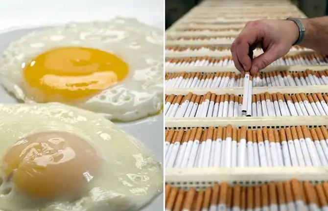 Поразительные результаты научных исследований