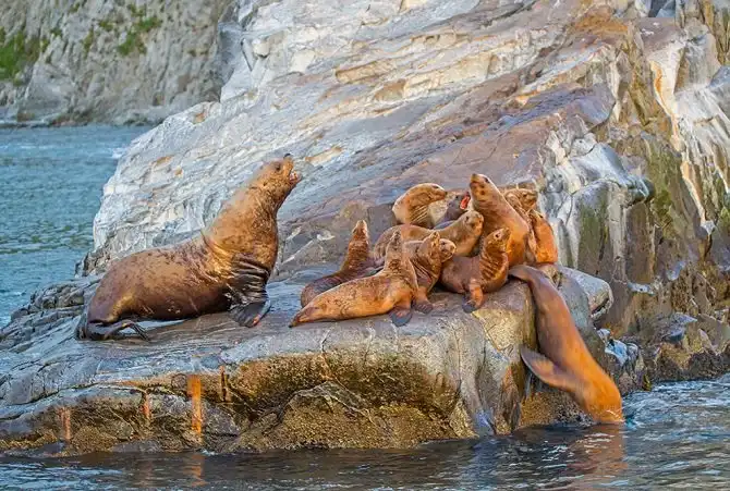 Первозданная Камчатка: Тихий океан