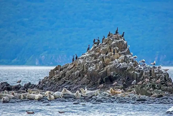 Первозданная Камчатка: Тихий океан