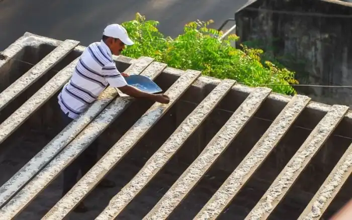 Пожилой индиец устроил столовую для 4000 попугаев