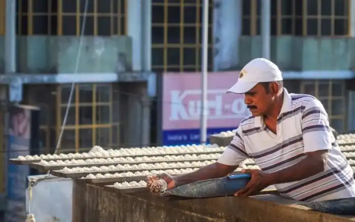 Пожилой индиец устроил столовую для 4000 попугаев