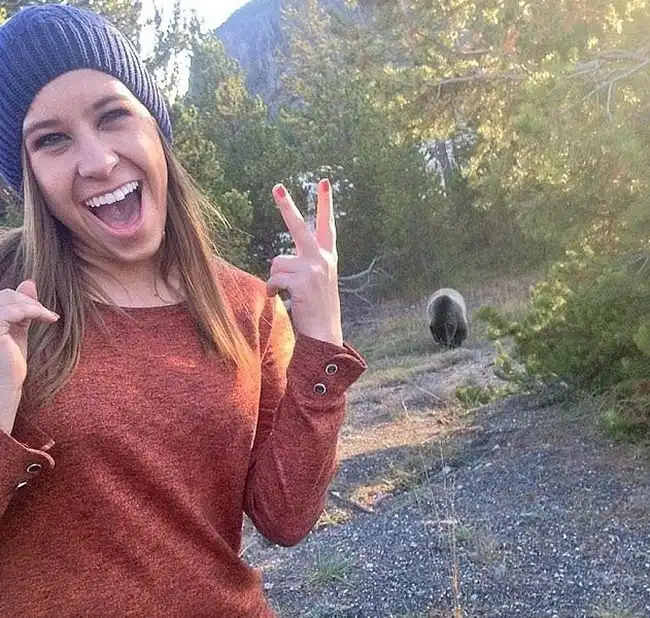 Из-за попыток сделать селфи с медведем туристам запретили посещение каньона в Денвере