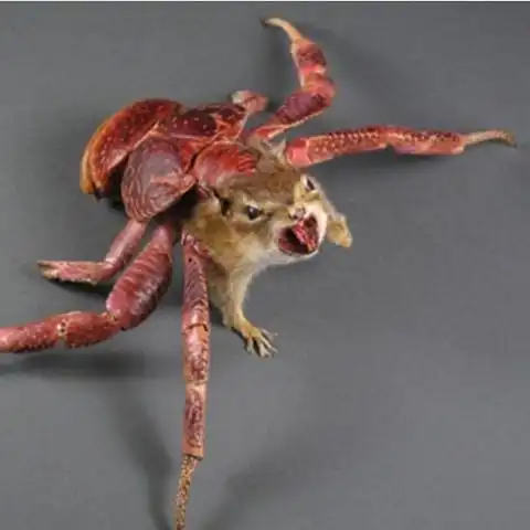 Пугающие монстры таксидермии