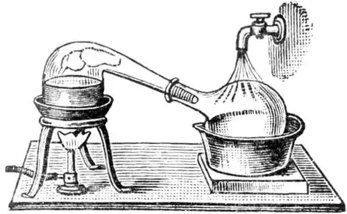 Самое дорогое дерево в мире
