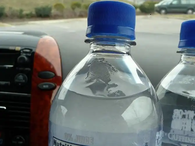 20 фотографий, которые удивили мир в этом году