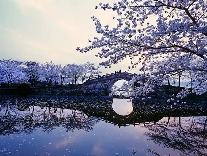 30 замечательных причин посетить Китай