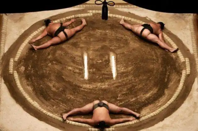 Самые интересные факты о борьбе сумо