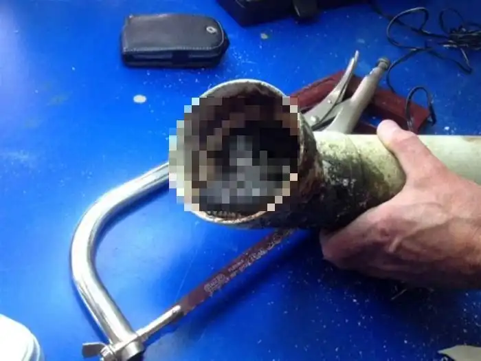 В Австралии питон застрял в водосточной трубе