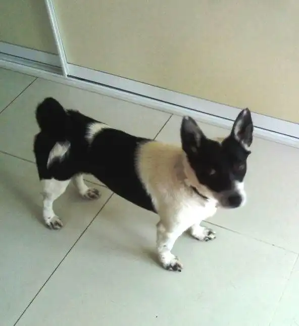 Лори ищет дом