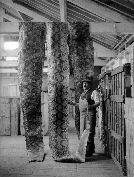 Раритетные фото