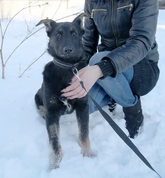 Очень славная