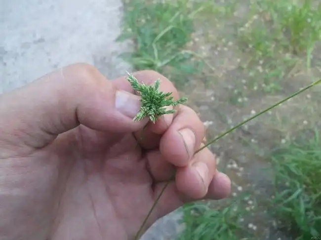 20 вещей, которые вернут вас в детство