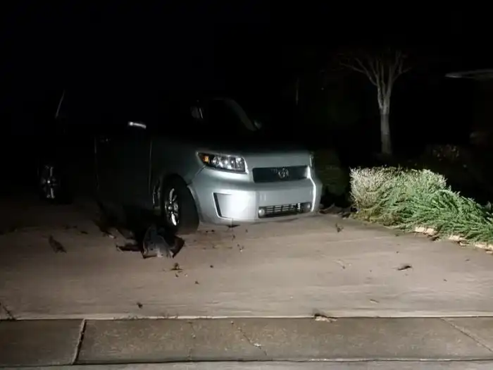 Автомобилю изрядно досталось от собак
