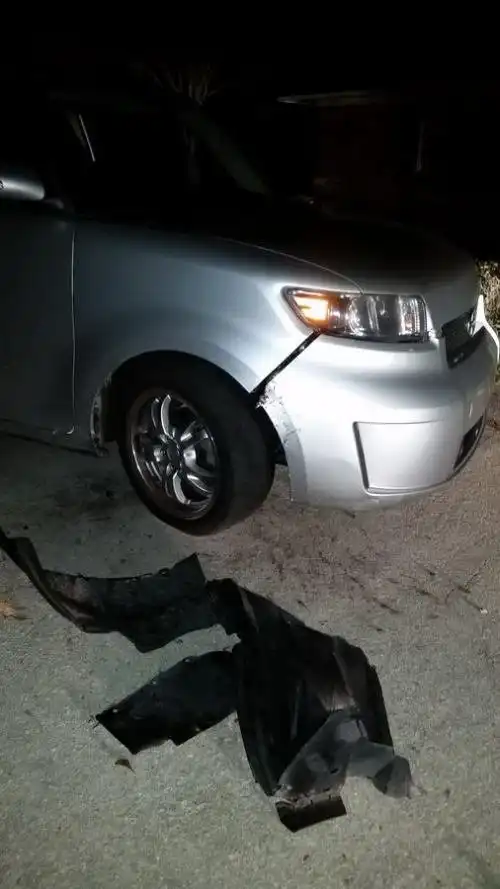 Автомобилю изрядно досталось от собак