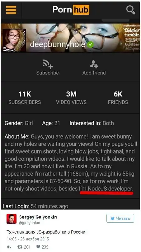 21-летняя россиянка совмещает работу программистом с карьерой начинающей порноактрисы