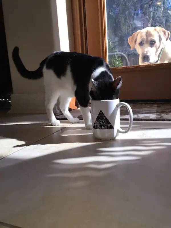 20 фотографий, которые показывают как выглядят настоящая печаль