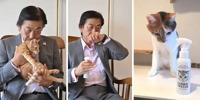 В Японии выпустили парфюм с ароматом кошачьего затылка