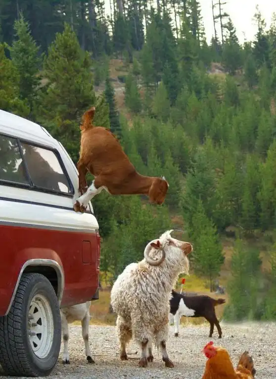 Удачный кадр