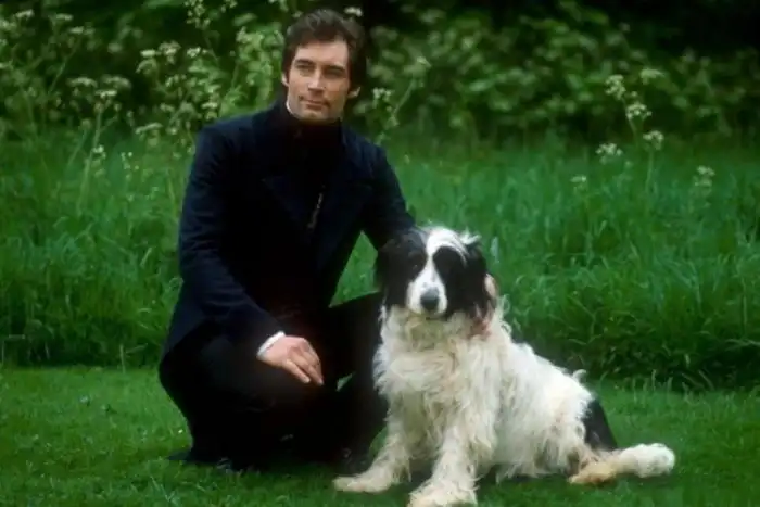 15 достойных примеров экранизации классики