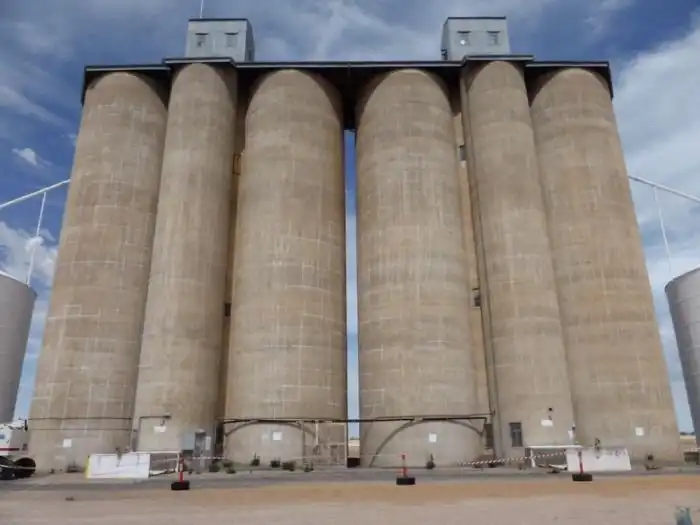 Уличный художник Гвидо ван Хелден расписал старое зернохранилище