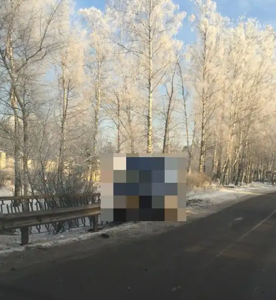 В Пушкине фургон оказался нанизанным на дорожный отбойник