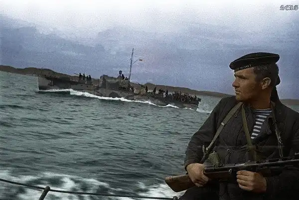 Правдивая история кота Матроскина.