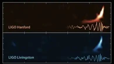 Интересная беседа с доктором эмбер ставер об открытии гравитационных волн