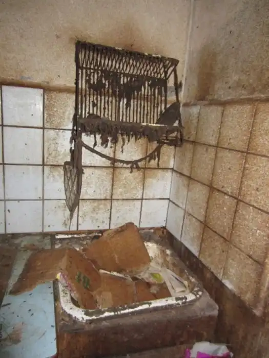 Душевнобольная отправилась на лечение, оставив в квартире два десятка кошек