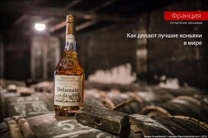 Как делают лучшие коньяки в мире