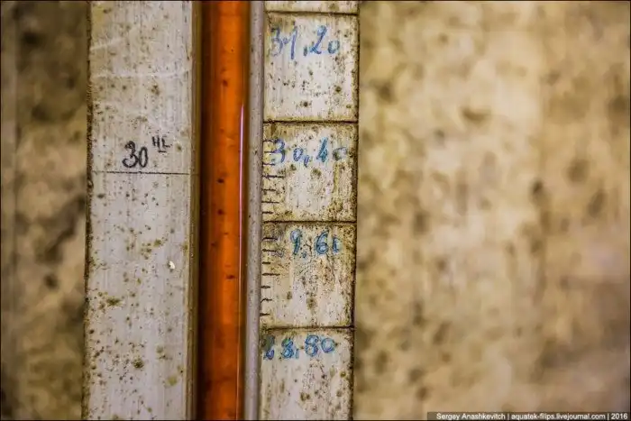 Как делают лучшие коньяки в мире