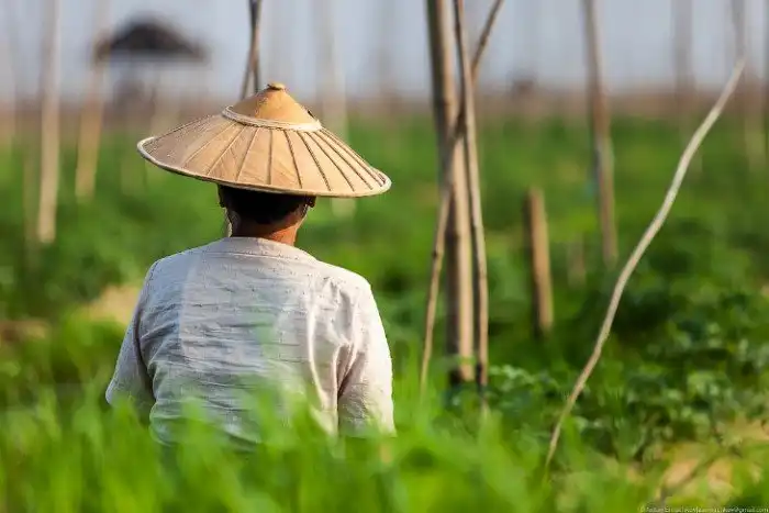 Огород на воде