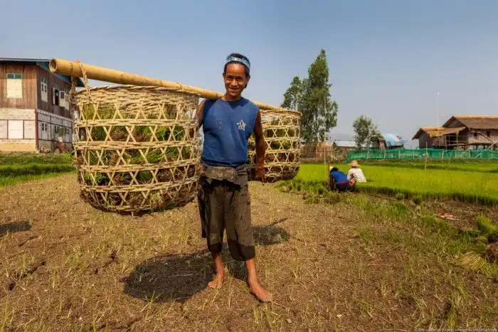 Огород на воде