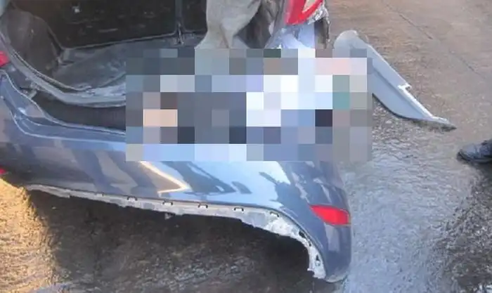 Неожиданные находки пограничников на испанской границе