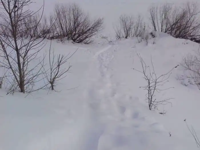 Чтобы сделать прорубь, власти города Буй разместили заказ на сайте госзакупок