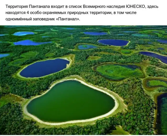 Пантанал - настоящий рай на земле