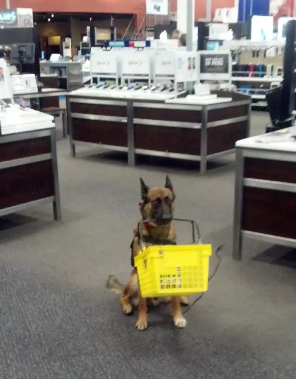 Современными магазинами можно пугать детей