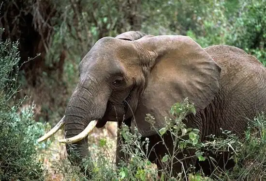 Подборка интересных фактов.