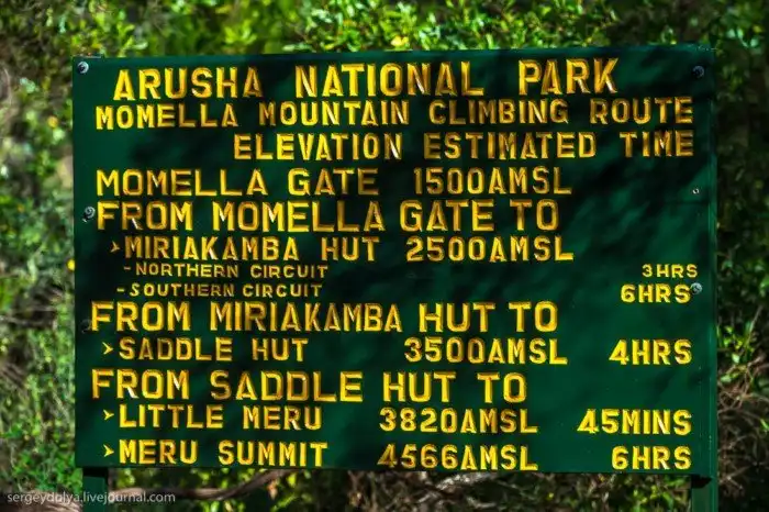 Что будет, если вылезти из машины со время сафари